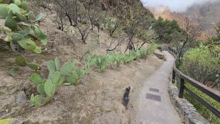 2024-11-GranCan-Guayadeque-071.jpg